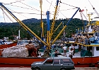 Fischtrawler im Hafen von Kişlaönü : Auto, Ladebäume